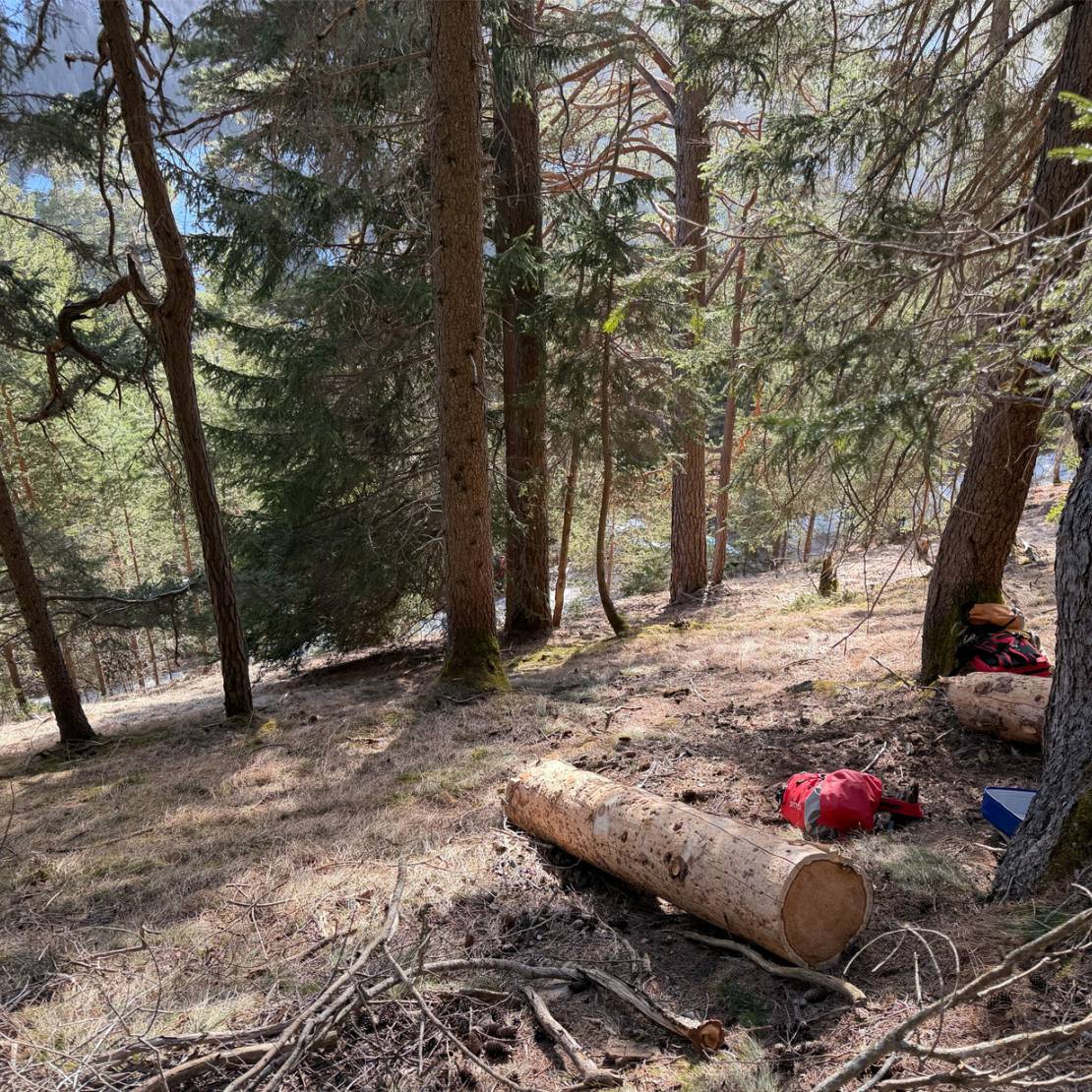 Unterstützungseinsatz Forstarbeiterunfall Greit